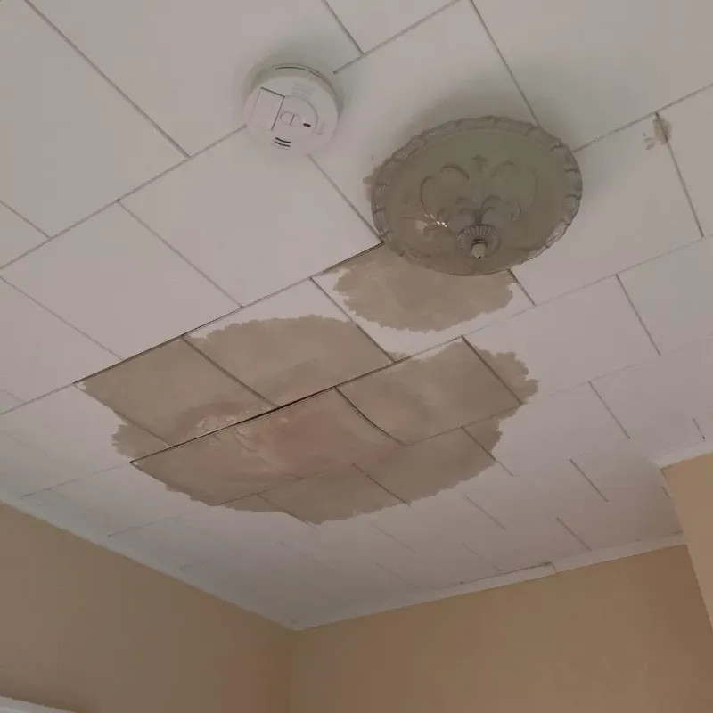 Ceiling Water Damage Repair in West Union, IA