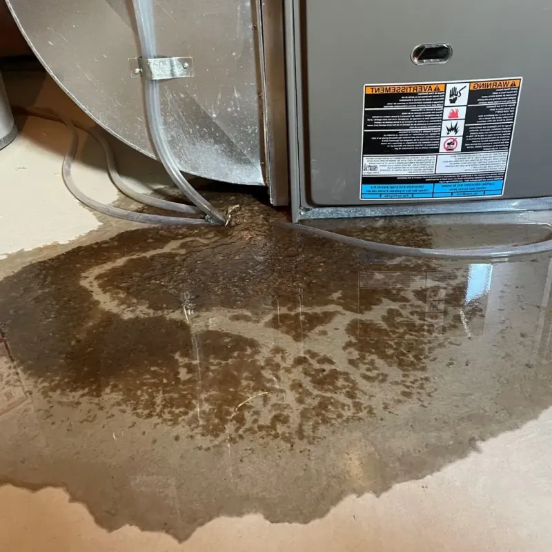 Pipe Burst and Leak Restoration in West Union, IA
