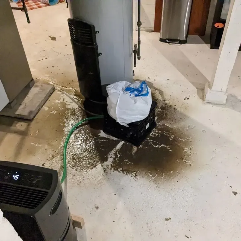 Sewage Backup Cleanup Service in West Union, IA